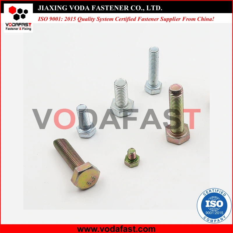 Carbon Steel Stainless Steel Hex Bolts Flange Bolts Square Bolts Carriage Bolts Plow Bolts Elevator Bolts