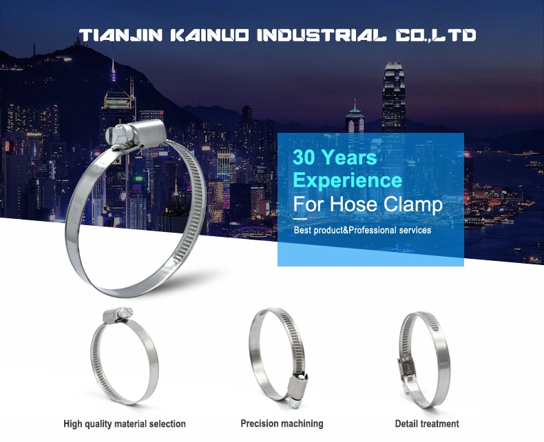 W1 German Type Hose Clamp, Worm Gear, 20-32mm Diameter Range, 9 mm Bandwidth