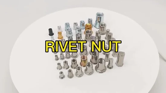 Rivet aveugle d'écrou de rivet plat à tête réduite de Csk de gros de haute qualité